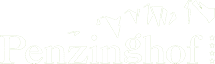 Hotel Penzinghof****